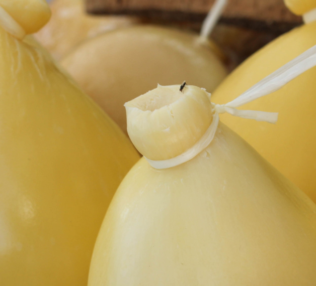 cACIOCAVALLO
