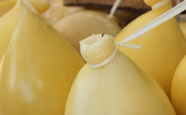 cACIOCAVALLO