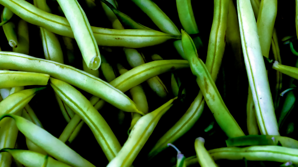 Fagiolini