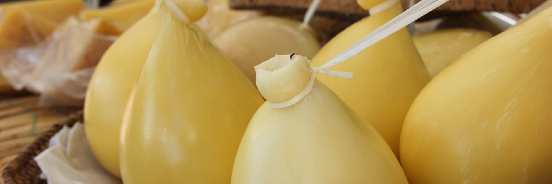 cACIOCAVALLO