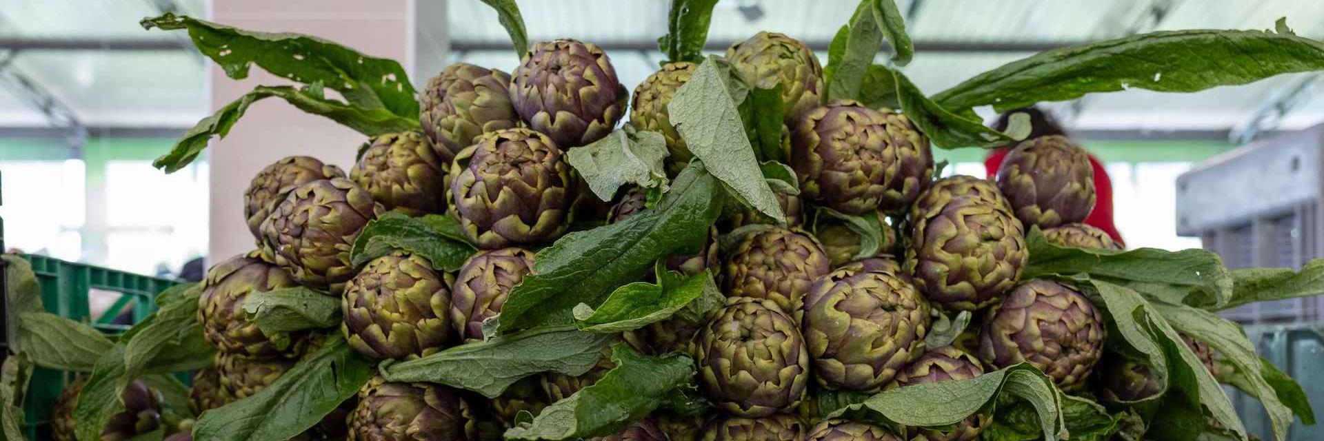 carciofi